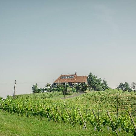 Taverna & Wine Jeruzalem Ivanjkovci 外观 照片